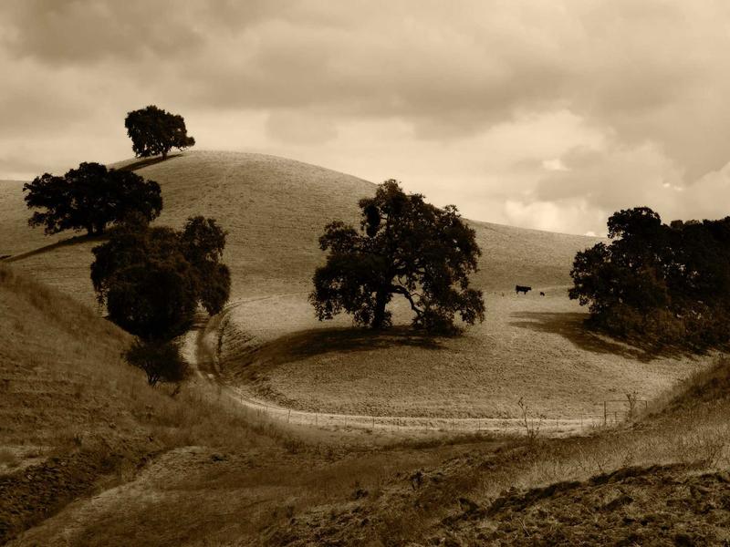 feedback screenshot 5